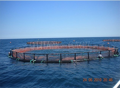 深海养殖网箱主要由什么组成？