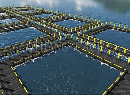 Leisure Fishing Cage