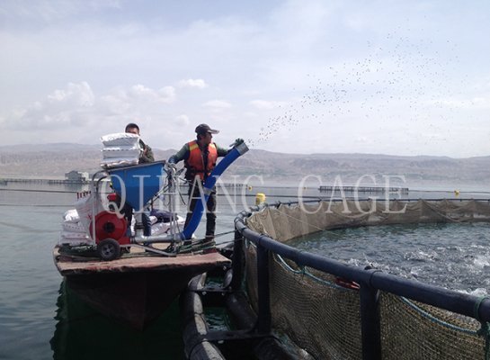 Boat mounted feeding machine-(2)