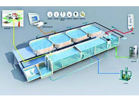 Recirculating Aquaculture System
