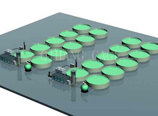 Recirculating Aquaculture System