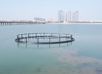 Shanghai
