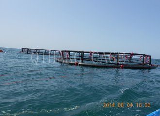 Iran1