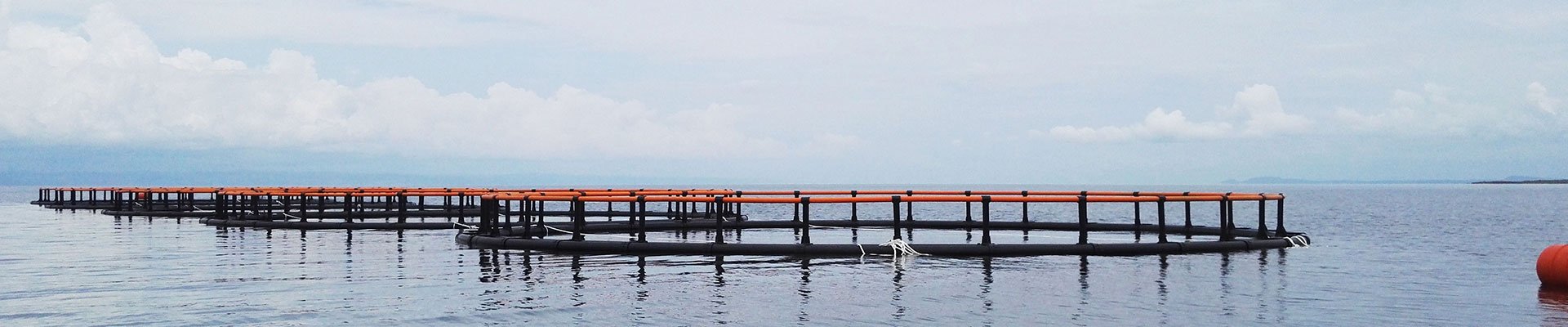 https://www.qhfishing.com/data/upload/202008/20200806140501_814.jpg